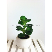 Cheap plastic small Artificial Succulent Plants potted bonsai with ample supply